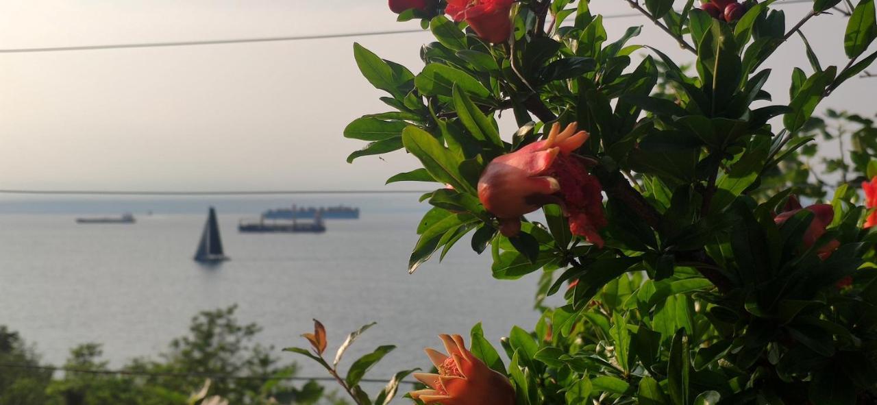 Sea Sun & Me Apartment โคเปร์ ภายนอก รูปภาพ